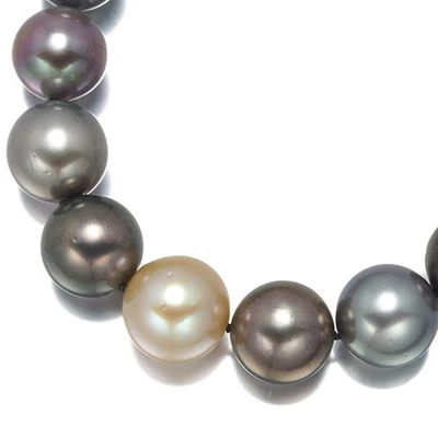 Auth TASAKI Necklace Pearl 10.2-12.4mm Diamond 0.04ct 14K 585 White Gold  - Image 1 of 4