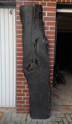 F7 Mooreiche 212x49 Tisch Platte Rustikal Bohle Brett Bog Oak Baumkante UNIKAT - Bild 1 von 4