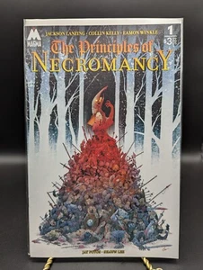 💥 The Principles of Necromancy #1 First Print Cover A Magma Comix 2024 - Bild 1 von 3