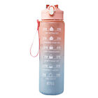 Sport Water Bottle Gym Travel Drinking Leakproof Bottle With Straw BPA-Free UK