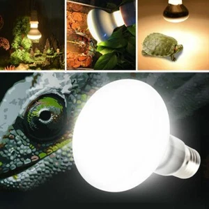 E27 220V 25/50/75/100W Reptile Lizard Turtle Basking Light Heat Lamp Bulb - Picture 1 of 13