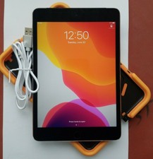 Apple iPad mini 4 16GB, Wi-Fi + Cellular (Unlocked), 7.9in - GRAY