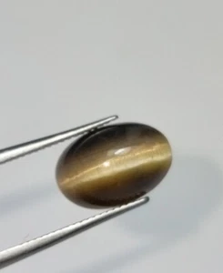 Natural Loose Honey Brown Chrysoberyl Catseye 9x7x4mm 1.72ct Cabochon Gemstone - Picture 1 of 2
