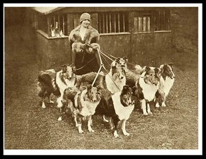 PÓSTER IMPRESO FOTOGRÁFICO COLLIE ÁSPERO DAMA Y SUS PERROS PRECIOSO ESTILO VINTAGE PERRO SEPIA - Imagen 1 de 1