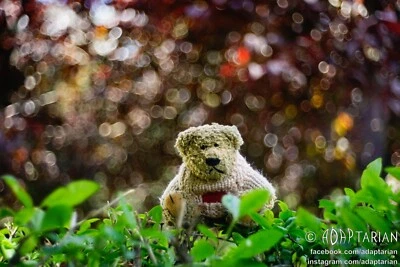 Meyer-Optik TRIOPLAN 50/2.9  | M42 | 100% OK | Bubbly bokeh! - Image 1 of 4