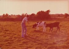 Vintage Found Photo - 1975 - Woman Feeds Little Cows On A Farm Field In Ireland