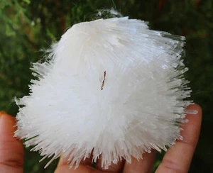 Scolecite Blow Flower Minerały Próbka #M25 - Zdjęcie 1 z 6