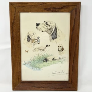 Leon Danchin Signed Numbered Etching 1938 Study Of The English Setter 180/500 - Picture 1 of 20