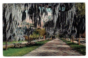 Drive In Bonaventure Savannah Georgia GA Postcard Unposted Tichnor Cemetery - Picture 1 of 2