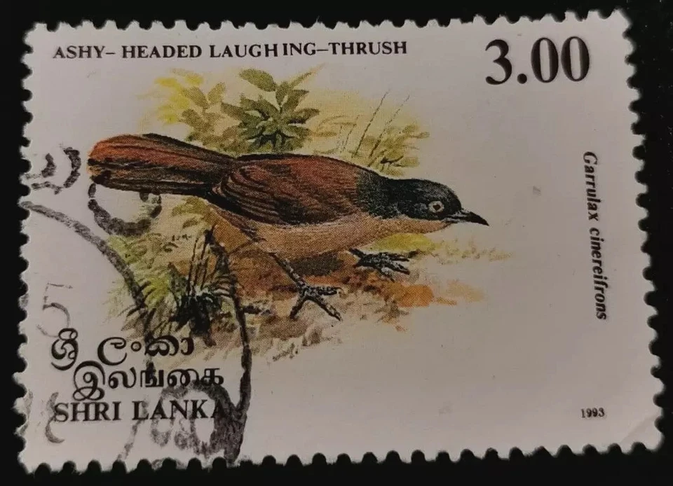 Sri Lanka: 1993 Birds 3.00 R. (Collectible Stamp). - Image 1 of 1