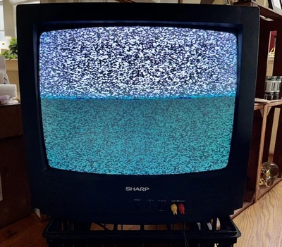 夏普 19 英寸 CRT 电视带空调输入复古游戏型号 19R-M100 无遥控器 — 第 1/4 张图片