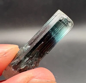 12.5 carat Blue-clear cap Elbaite tourmaline - Stak Nala, Gilgit, Pakistan - Picture 1 of 8
