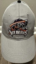 Knoxville Ice Bears Hockey Four Time SPHL Champions Men's Adjustable Gray Mesh