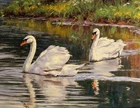 Swan in the lake Oil Painting Wall art Giclee HD printed on canvas L693