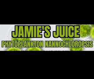 1000ml Marine Phytoplankton (Nannochloropsis Oculata) High Density - Picture 1 of 3