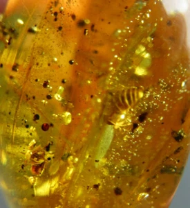 Fossil Amber Dominican Insect Green Bead Authentic Caribbean Stone (3.3g) #1270 - Picture 1 of 12