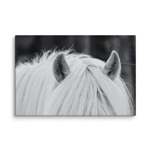 Black and White Horse Ear Canvas Wall Art Horse Lover Painting Rustic Home Decor - Picture 1 of 9
