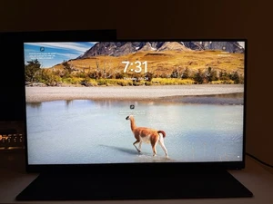 Acer Nitro 24.5" Full HD 1920 x 1080 Monitor 250Hz Refresh - Picture 1 of 2
