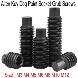 Dog Point Socket Grub Screws Allen Key Metric 12.9 Steel M3 M4 M5 M6 M8 M10 M12 - Picture 1 of 6