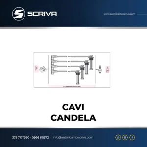 KIT CAVI CANDELA FORD Cougar Focus Mondeo II 1.6 1.8 2.0 16v - Imagen 1 de 1