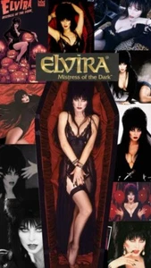 NEW POSTER 2025 _ Elvira Mistress Of The Dark Poster Print - No Frame - Picture 1 of 5