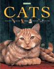 Cats Hardcover Amanda O'Neill