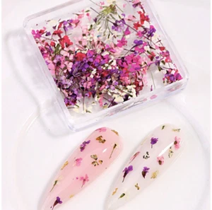 3X Mixed Color Floral Nail Art Decoration Natural Petals Leaves 3D Pack of 3 UK - Picture 1 of 7