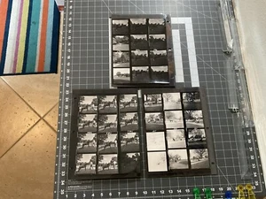 Hojas de contacto fotográficas vintage, principalmente de caballos, lote de 6 hojas en total, - Imagen 1 de 15