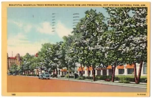 MAGNOLIA TREE CASA DE BAÑO FILA AGUAS TERMALES PARQUE NACIONAL AR POSTAL 1949 - Imagen 1 de 2