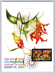 #5802s Life Magnified Flame Lily Pollen FDC Maxi Card w/DCP Cancel - Picture 1 of 2