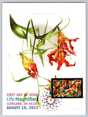 #5802s Life Magnified Flame Lily Pollen FDC Maxi Card w/DCP Cancel - Image 1 of 2