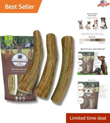 Masticables de cuerno de ciervo mediano sin desorden para perros - Paquete de 3 - Perfecto para masticadores agresivos Foto 1 de 4
