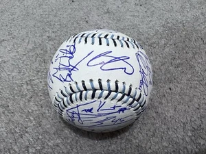 2025 TAMPA BAY RAYS TEAM SIGNED MLB STITCHED BASEBALL COA LOWE ARANDA DIAZ - Picture 1 of 9