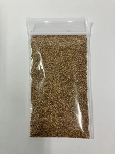 Zenith Zoysia 12,000 Grass Seeds for a Healthy Low-Maintenance Lawn - 1 ounce - Picture 1 of 3