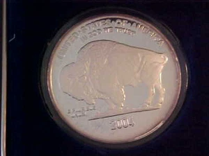 2004 Buffalo Nickel Tribute Medal PROOF With Box--National Collector's Mint - Picture 1 of 3