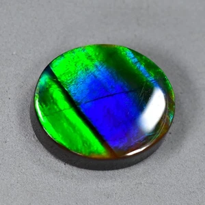 8.00Ct Gorgeous Multi-color Flashing Natural Canadian Ammolite Gemstone - Picture 1 of 1