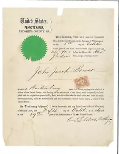 Naturalization certificate Lycoming County PA 1864 Bower from Germany - Picture 1 of 1