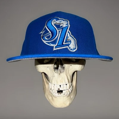 Gorra azul de béisbol coreana M Goood Corea Samsung Lions desde 1982 Foto 1 de 4