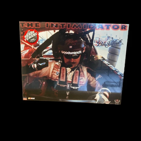 BTG 1999 Nascar Dale Earnhardt “The Intimidator” Wood Plaque Ready To Hang B2 Cover