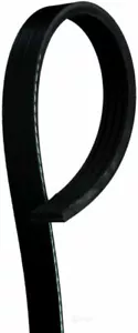 Cinturón Serpentine Estándar ACDelco Pro 4K382 - Imagen 1 de 1