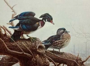 Michael Dumas - Canada Duck Stamp Print 1990 with 2 Stamps - S/N Litho - MINT - Foto 1 di 1