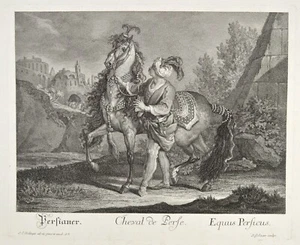 Ridinger Persianer Cheval de Perse1750 Original Antique Print Araber Pferd Horse - Picture 1 of 6