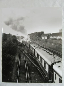 H003 - Locomotora de vapor y carruajes en algún lugar de la línea Bluebell - Foto de 10 x 8" - Imagen 1 de 1