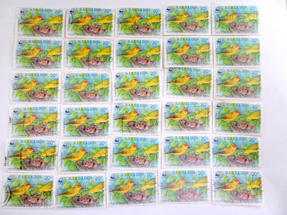 30张巴巴多斯(1991)取消邮票鸟黄色翅膀艺术纸工艺 — 第 1/1 张图片