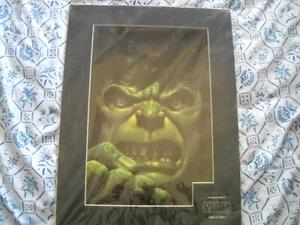 Incredible Hulk Limited Edition (386 of 500) Laser Cel mit Zertifikat Marvel - Bild 1 von 7