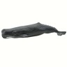 Sperm Whale Wild Safari Ocean Figure Safari Ltd 100209 NEW IN STOCK