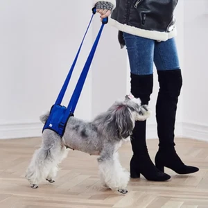 Pet Dog Leg Support Rear Lifting Brace Harness for Old Dogs, Aid Assist Tool Reh - Picture 1 of 11