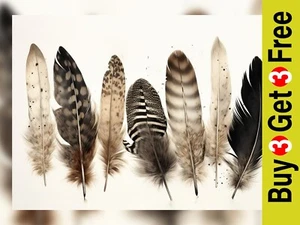 Delicate Watercolor Feathers Print - Sophisticated Artwork for Minimalist 5"x7" - Picture 1 of 6