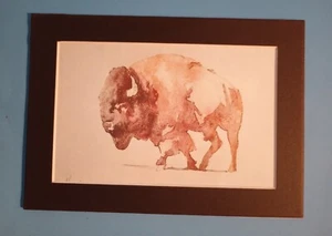Stampa 5"" x 7"" opaca 4"" x 6"" di dipinto di un bisonte americano/bufalo - Foto 1 di 2