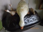 GÄNSE FAMILIE Deko Figuren Handarbeit Kantensitzer 4 Gänse